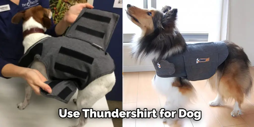  Use Thundershirt for Dog