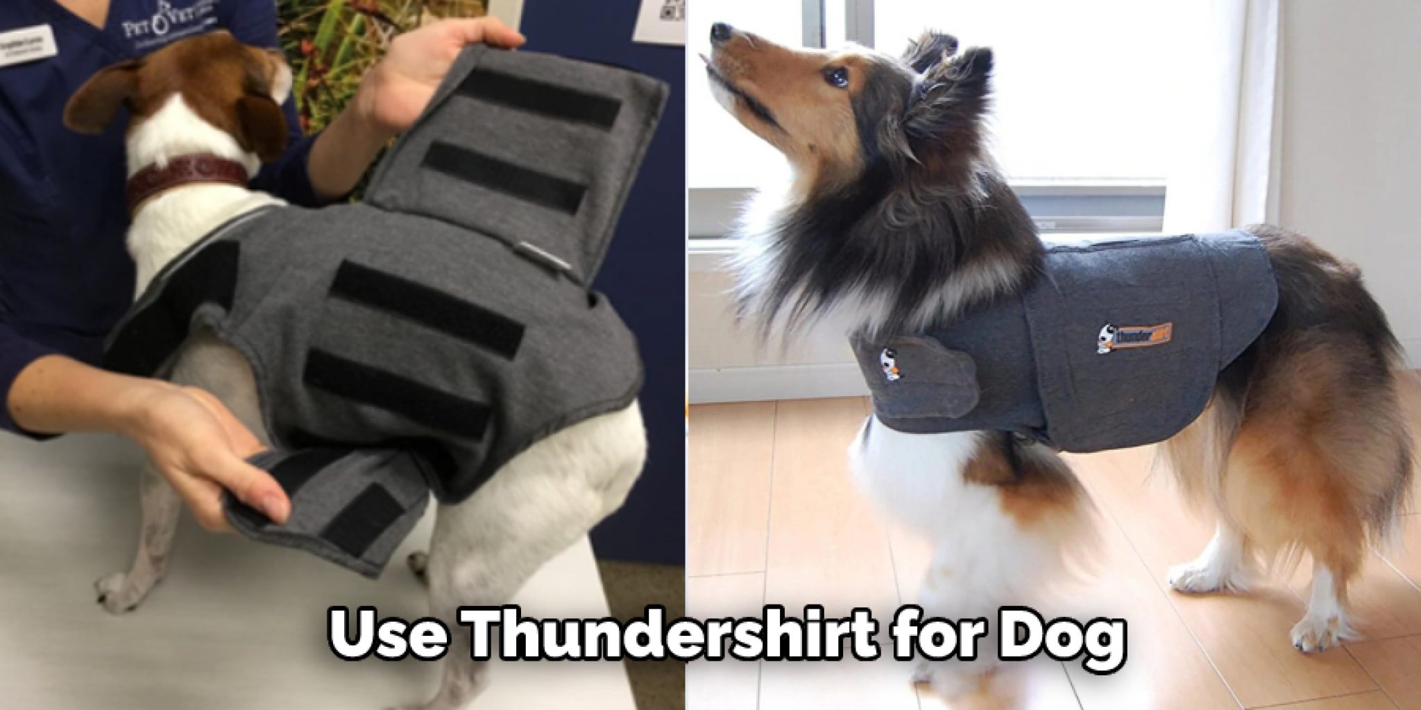 How Tight Should a Thundershirt Be 5 Steps Instructions