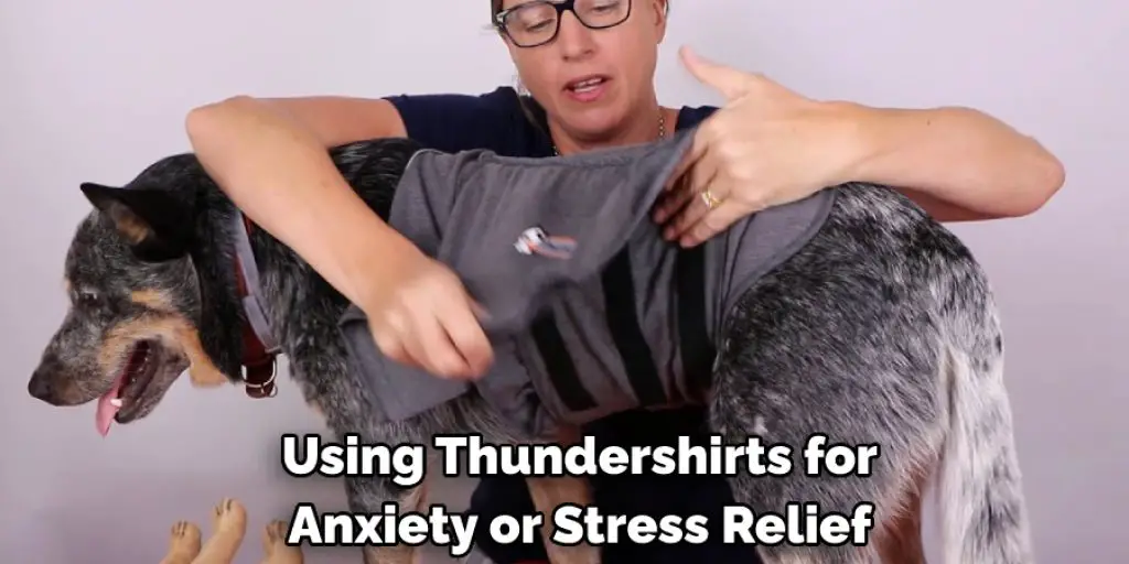 Using Thundershirts for Anxiety or Stress Relief