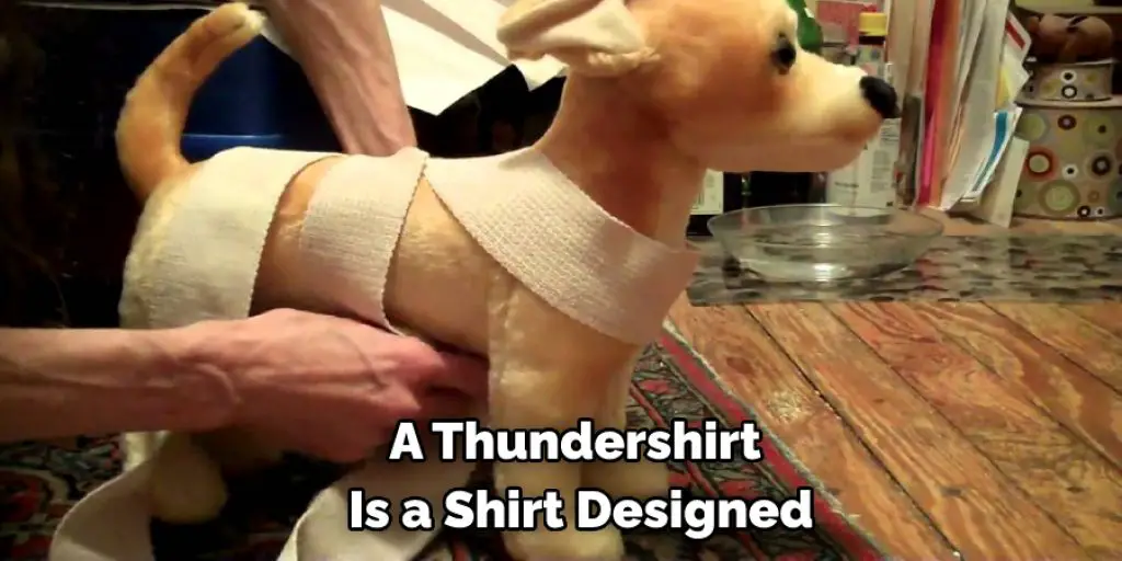 A Thundershirt  Is a Shirt Designed