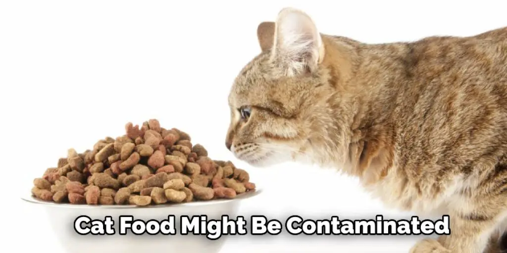 Cat Food Might Be Contaminated 