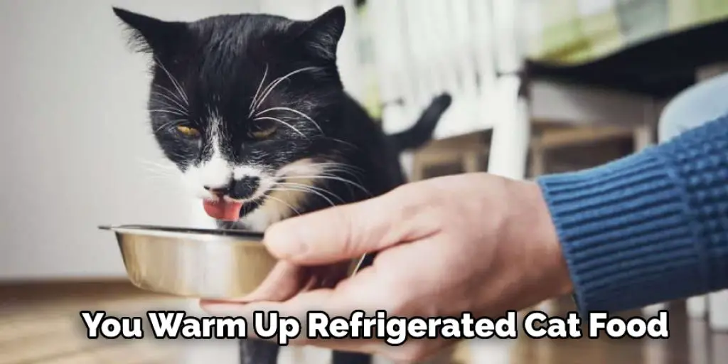 You Warm Up Refrigerated Cat Food