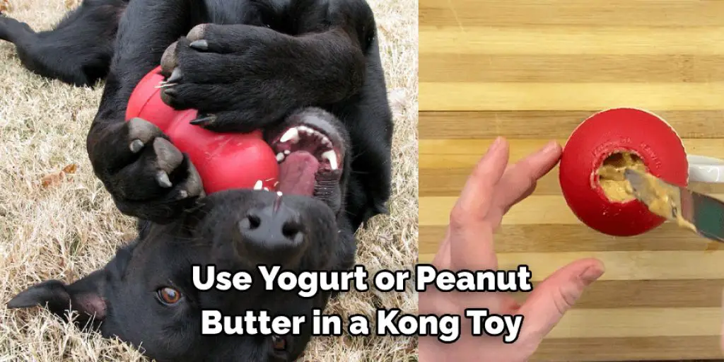Use Yogurt or Peanut Butter in a Kong Toy
