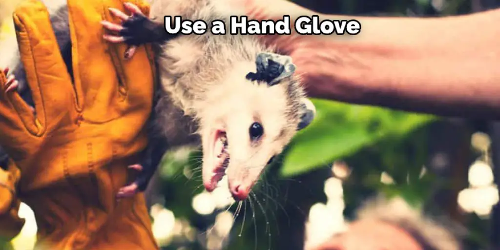 Use a Hand Glove