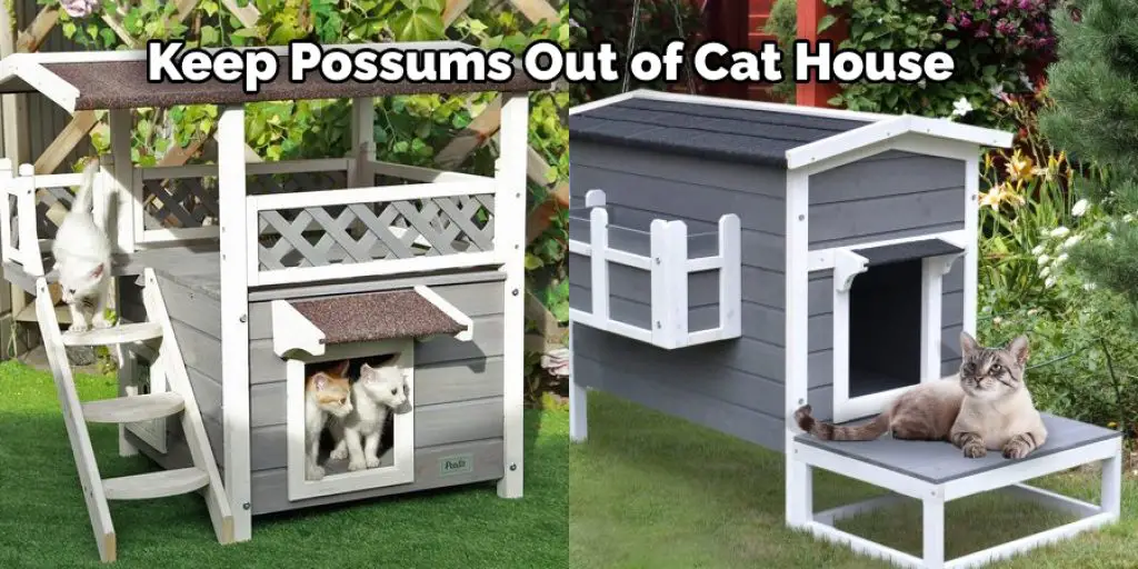  Keep Possums Out of Cat House