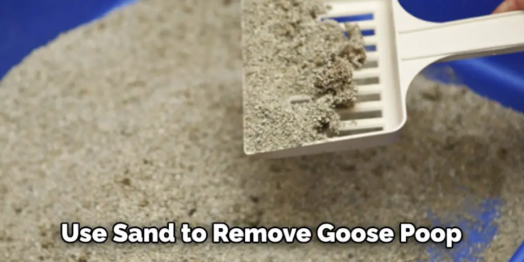  Use Sand to Remove Goose Poop 