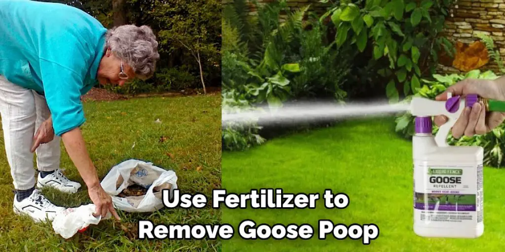 Use Fertilizer to  Remove Goose Poop