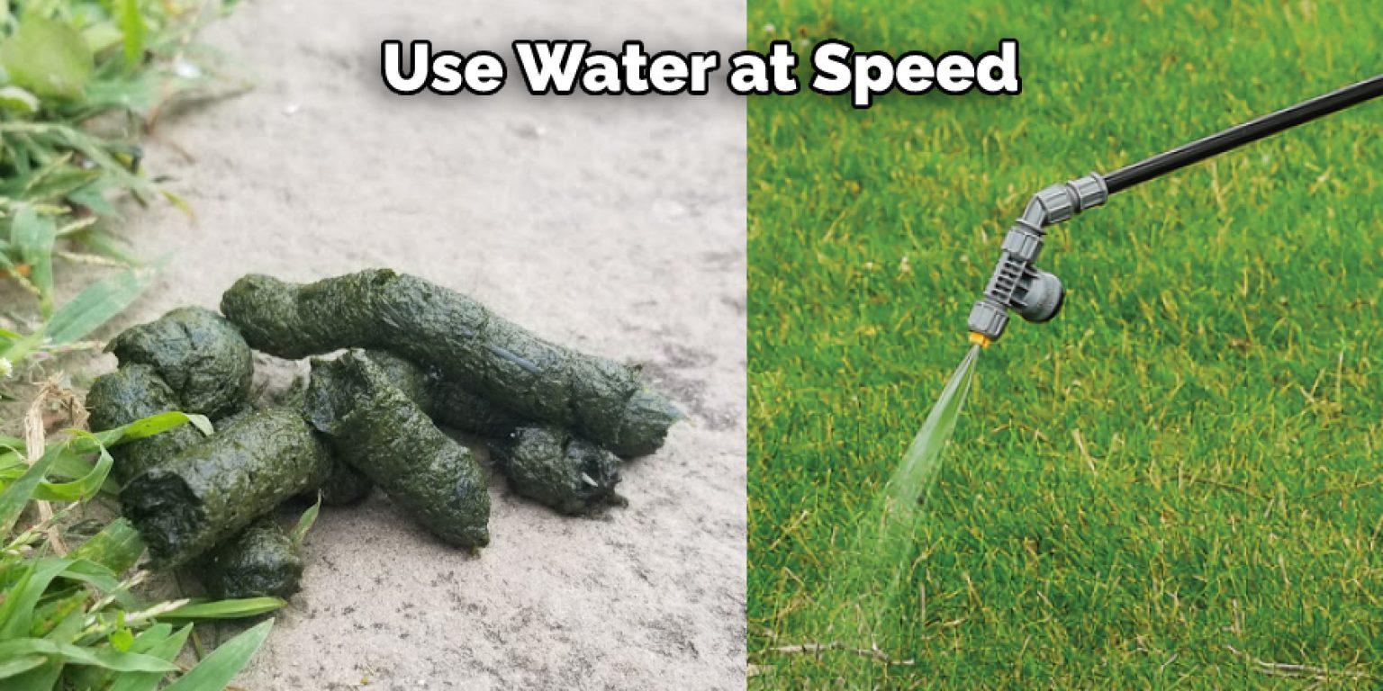 How to Remove Goose Poop from Lawn 10 Effective Methods