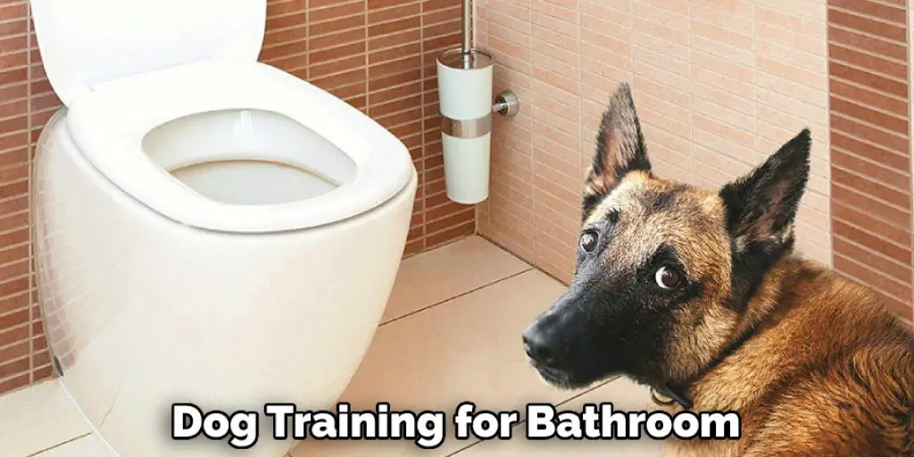 Dog Training for Bathroom