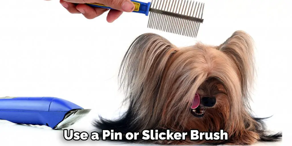  Use a Pin or Slicker Brush