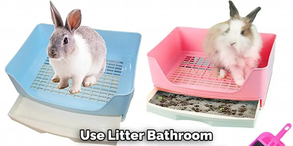 Use Litter Bathroom 