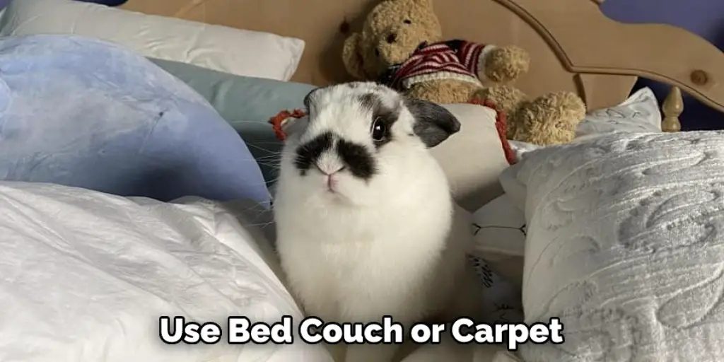 Use Bed Couch or Carpet