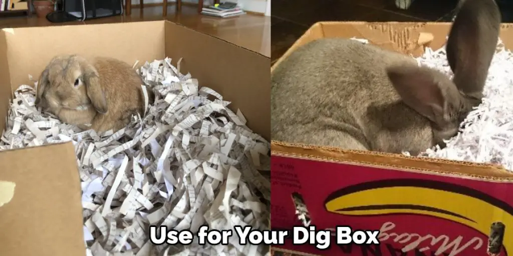  Use for Your Dig Box