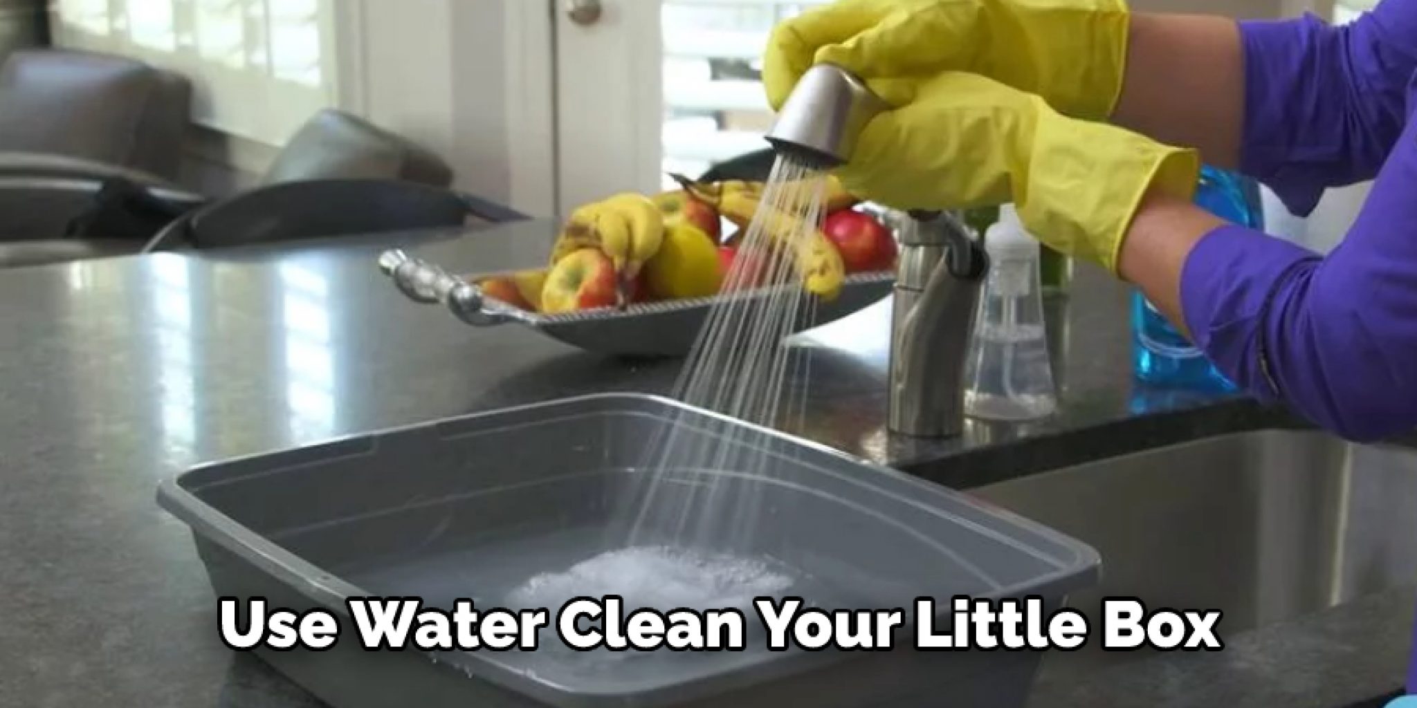 How to Keep Rabbit Cage From Smelling Explained in 10 Steps