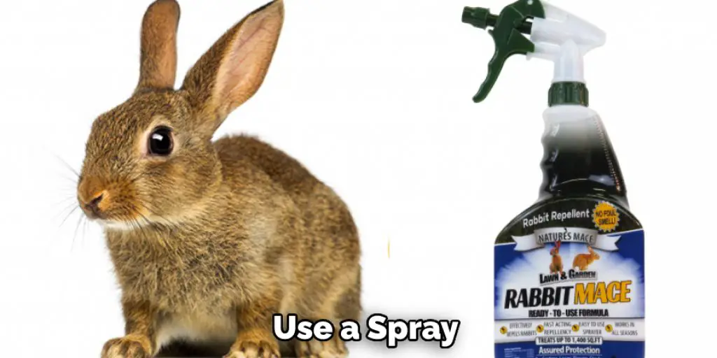 Use a Spray