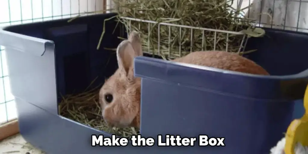  Make the Litter Box