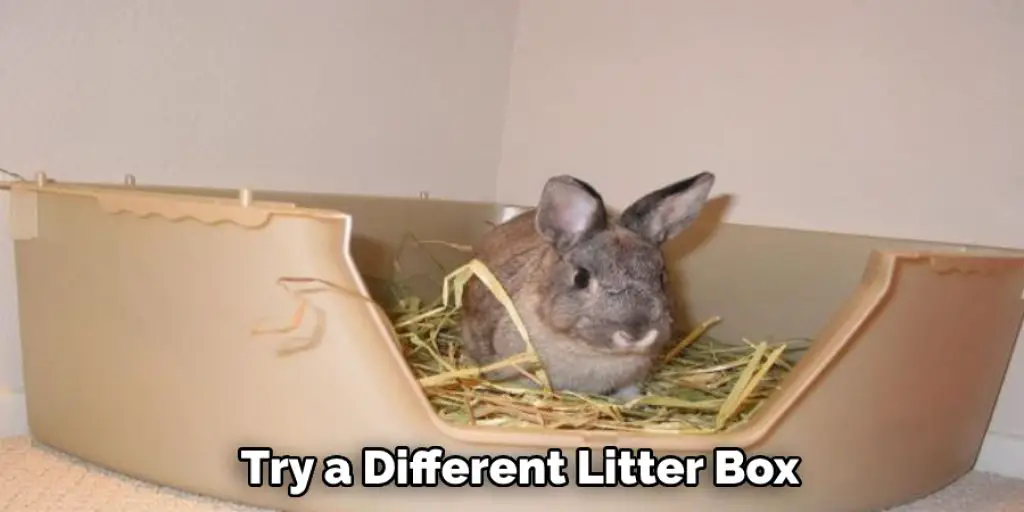 Try a Different Litter Box