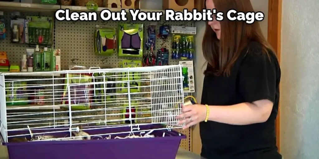Clean Out Your Rabbit's Cage