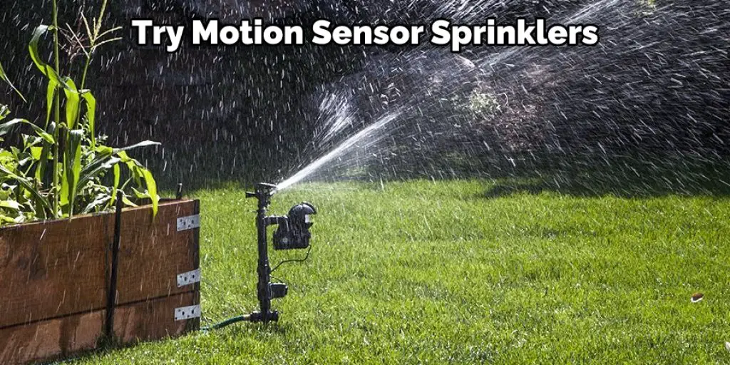 Try Motion Sensor Sprinklers