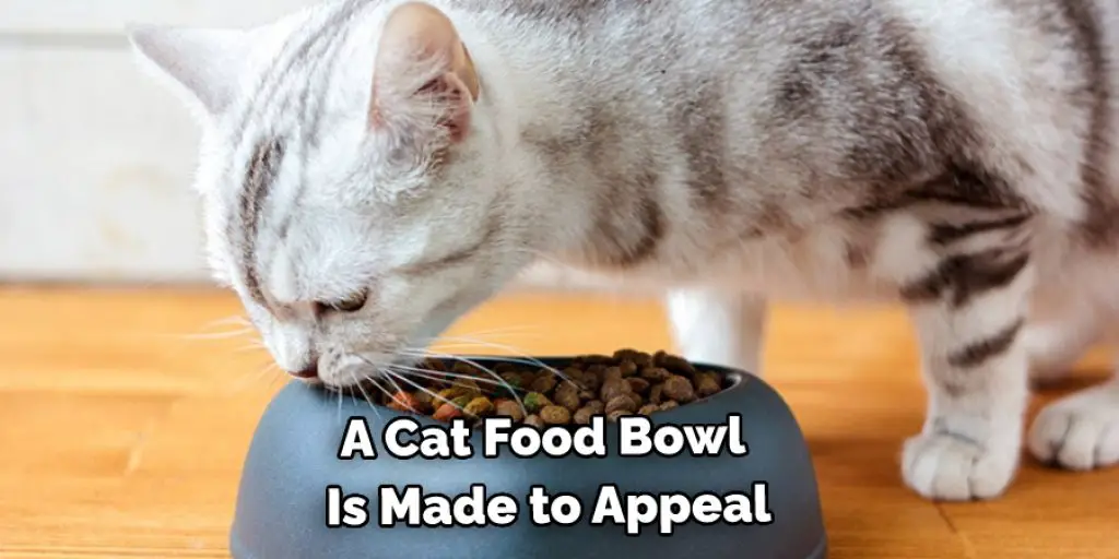 A Cat Food Bowl  Is Made to Appeal