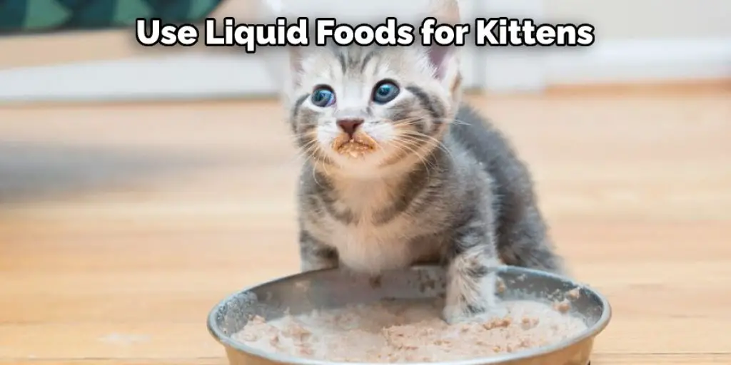 Use Liquid Foods for Kittens