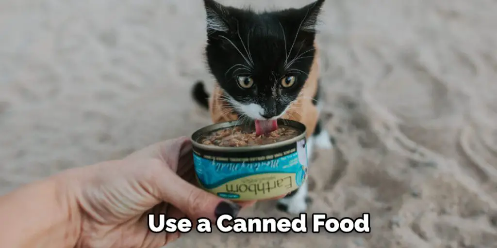  Use a Canned Food