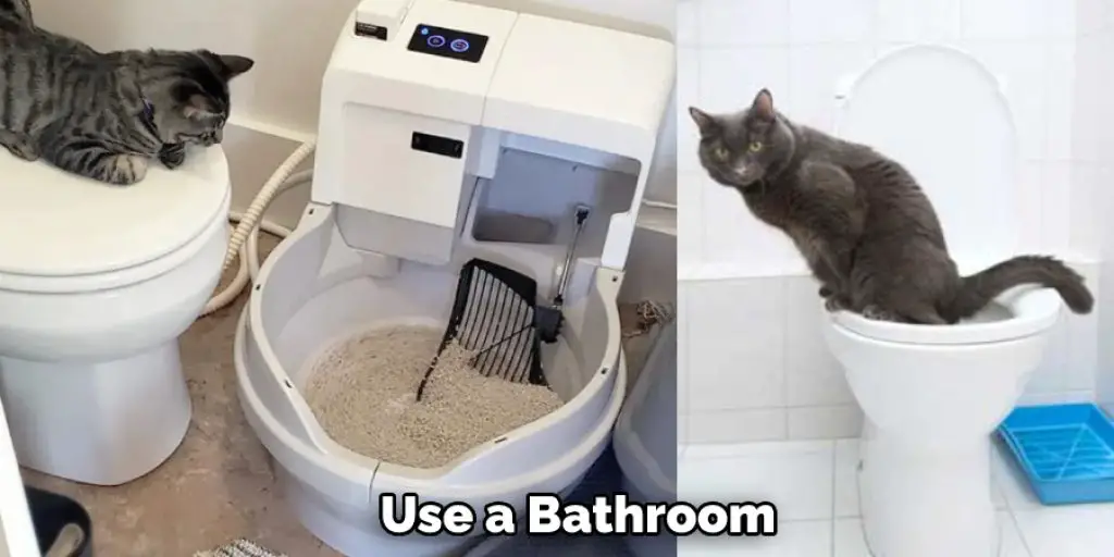 Use a Bathroom