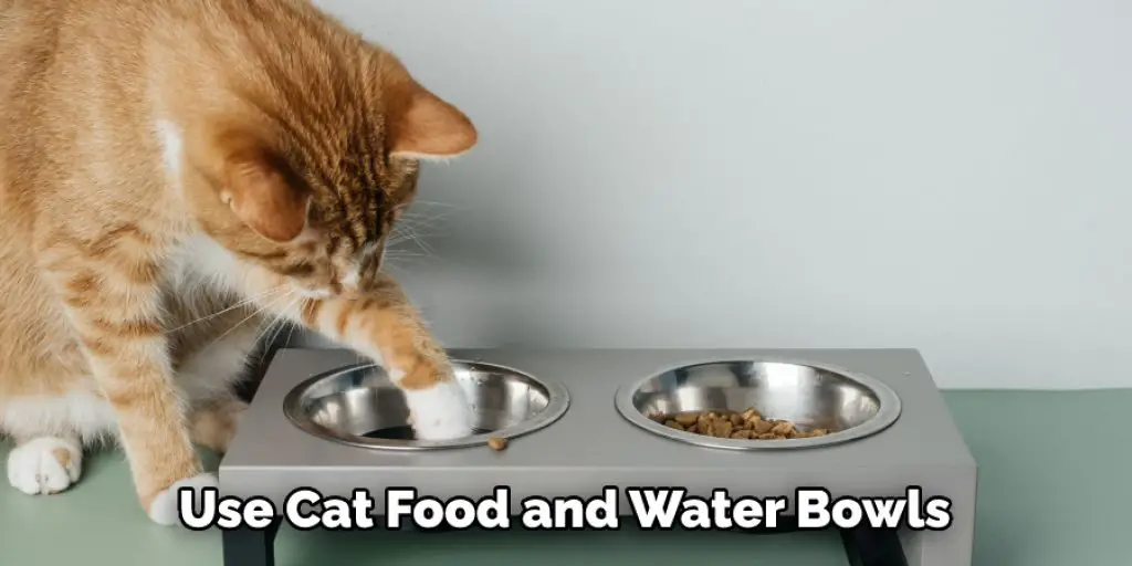 Use Cat Food and Water Bowls