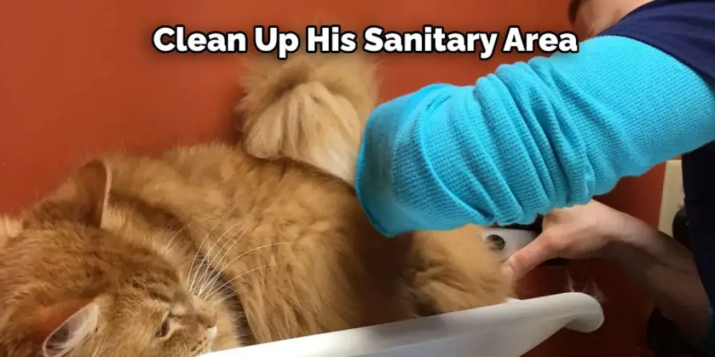 Clean Up His Sanitary Area