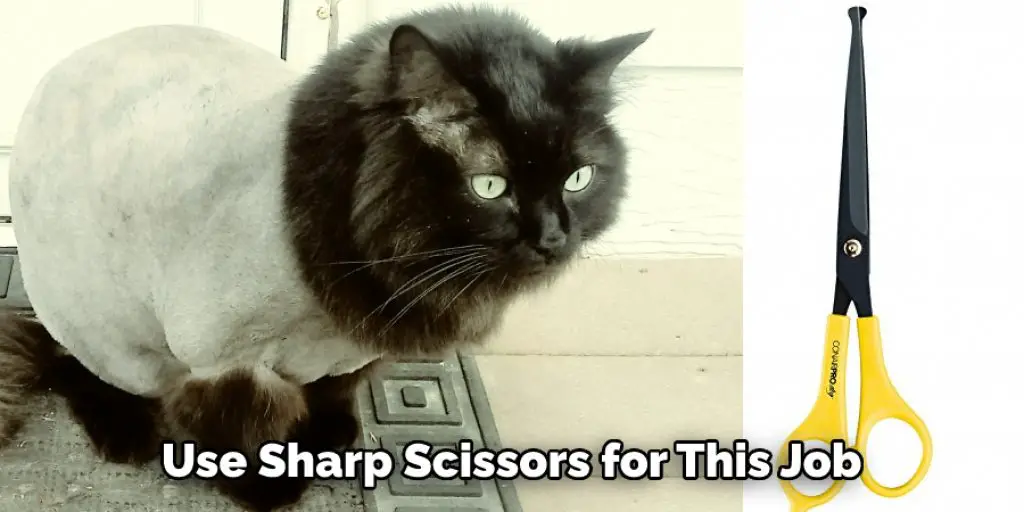  Use Sharp Scissors for This Job