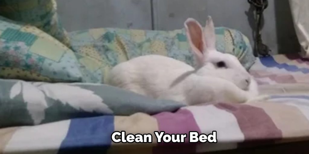 Clean Your Bed