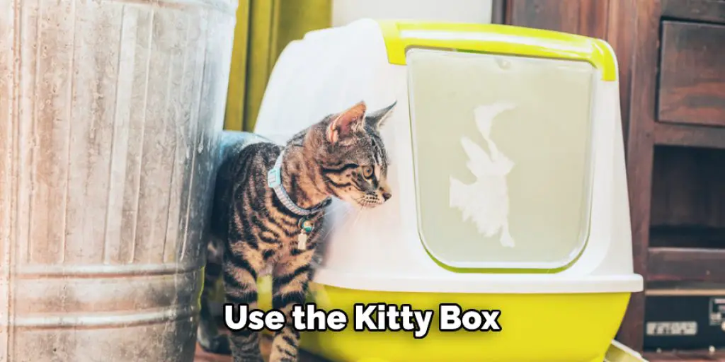 Use the Kitty Box