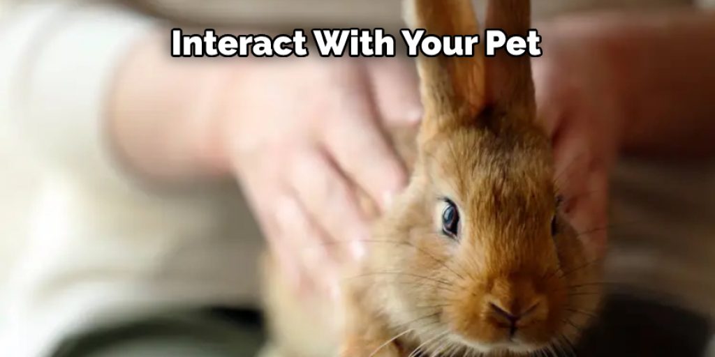 Interact With Your Pet 