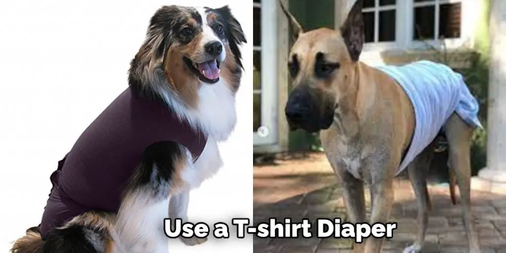 Use a T-shirt Diaper