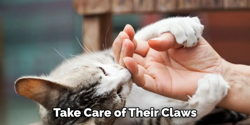 Take Care of Their Claws