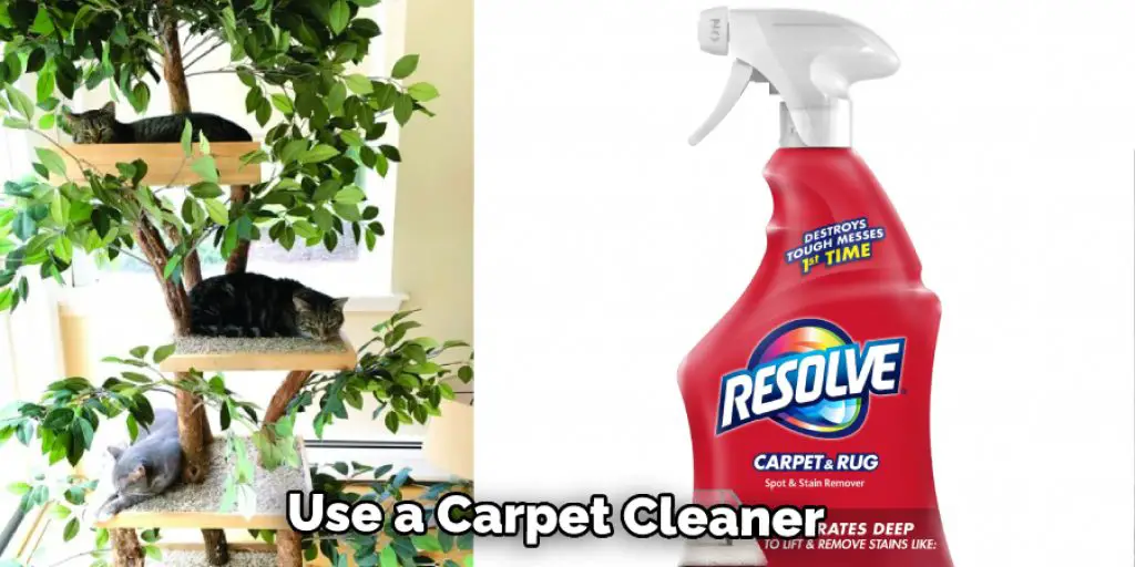 Use a Carpet Cleaner 