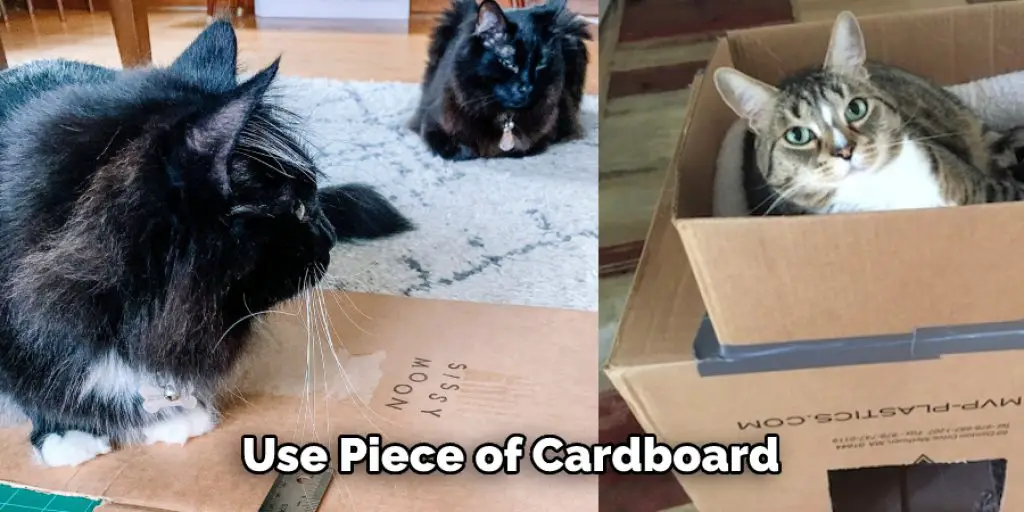 Use Piece of Cardboard