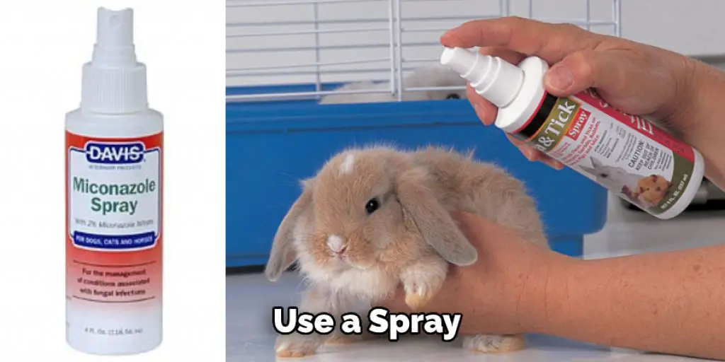  Use a Spray