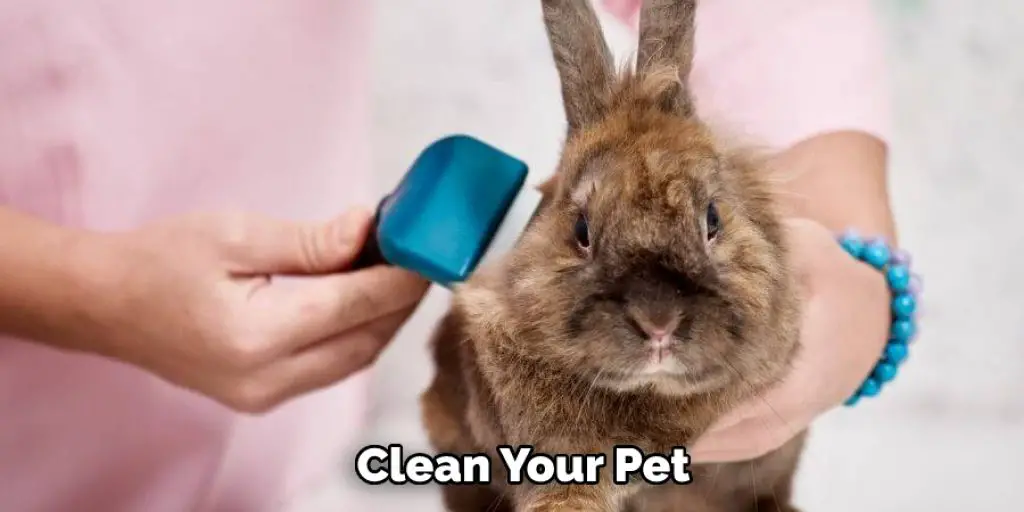Clean Your Pet