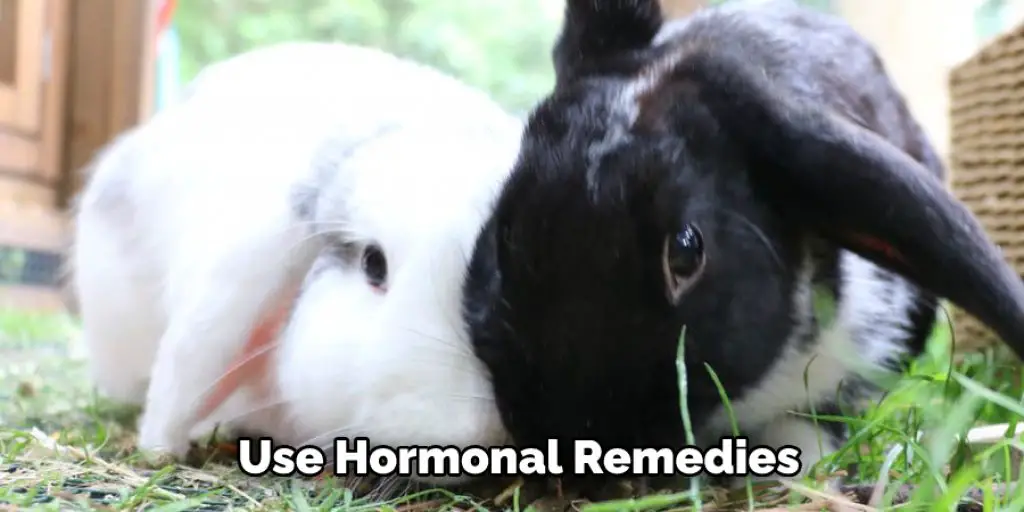  Use Hormonal Remedies 