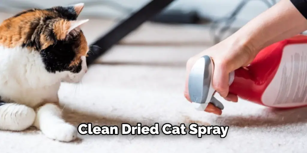 Clean Dried Cat Spray