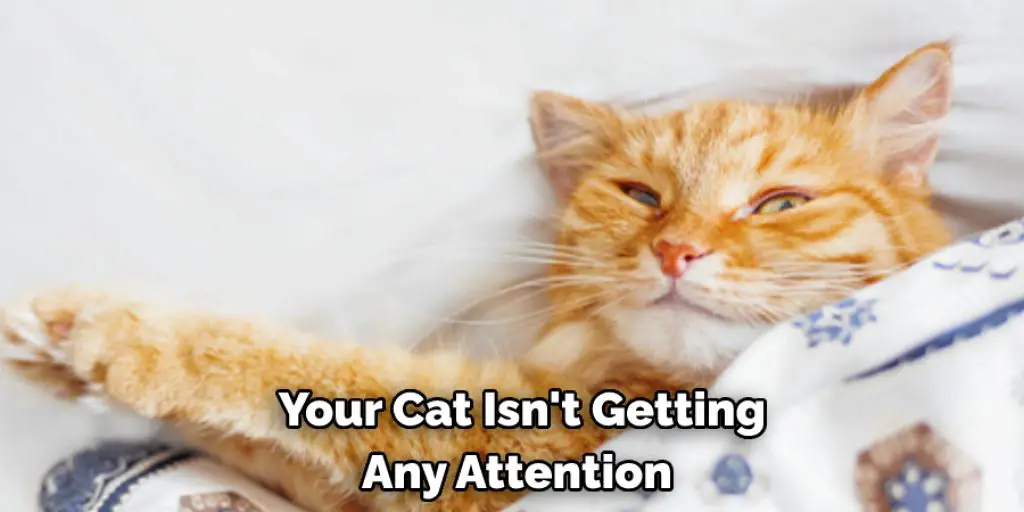  Your Cat Isn't Getting  Any Attention 