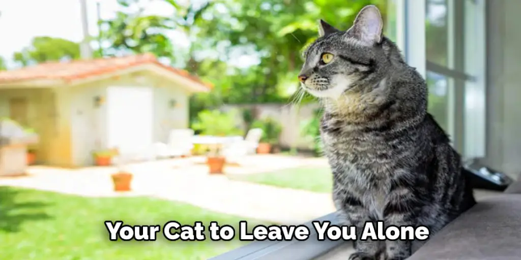 Your Cat to Leave You Alone