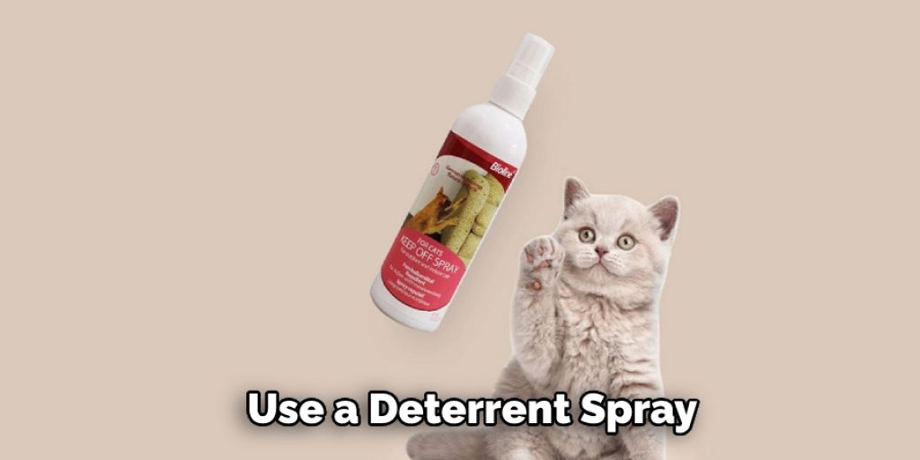 Use a Deterrent Spray
