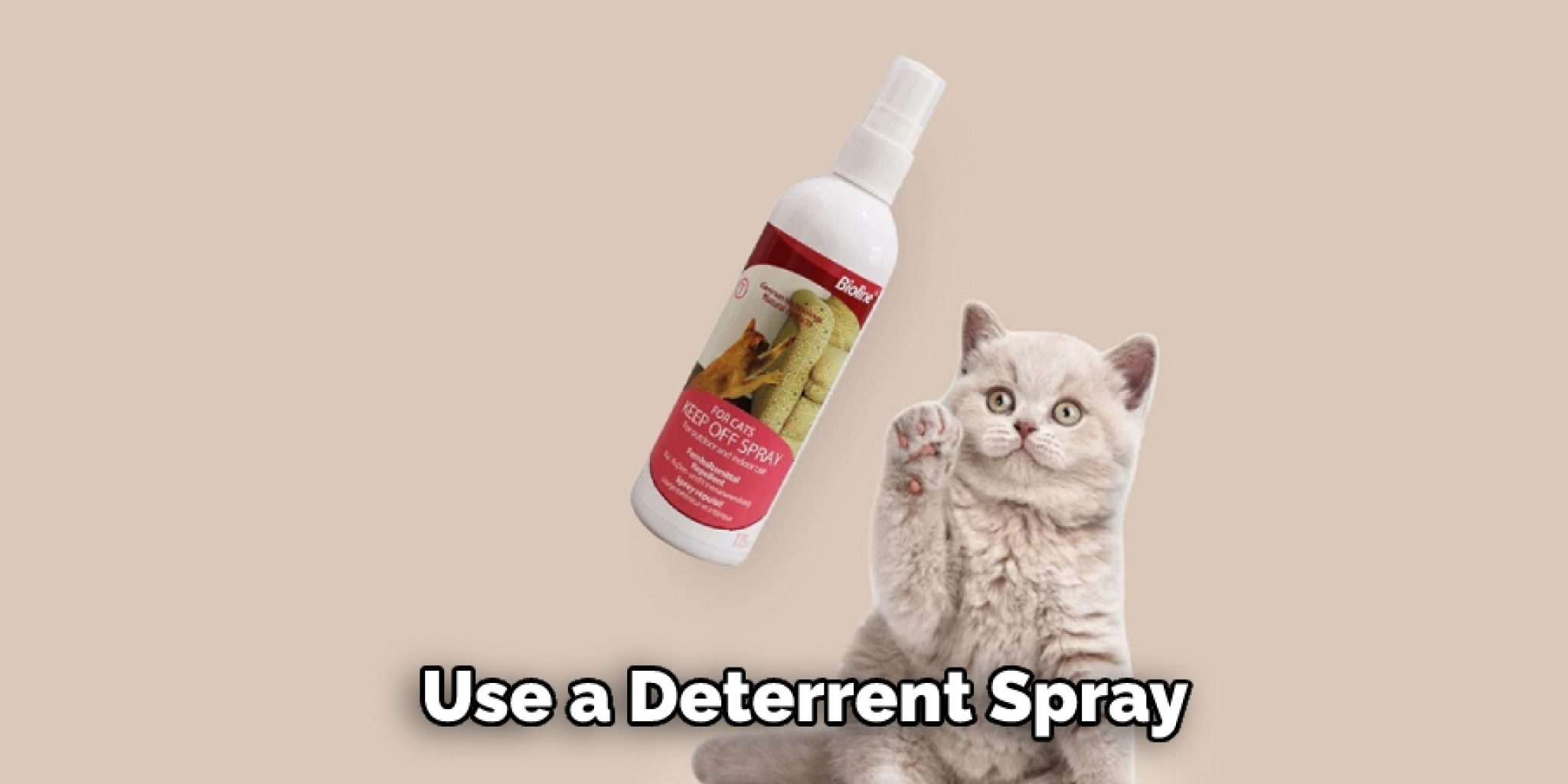 How to Get My Cat to Leave Me Alone Explained in 12 Steps