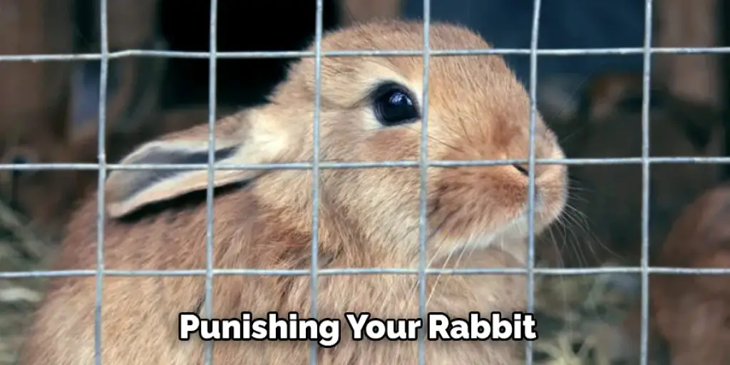 Punishing Your Rabbit