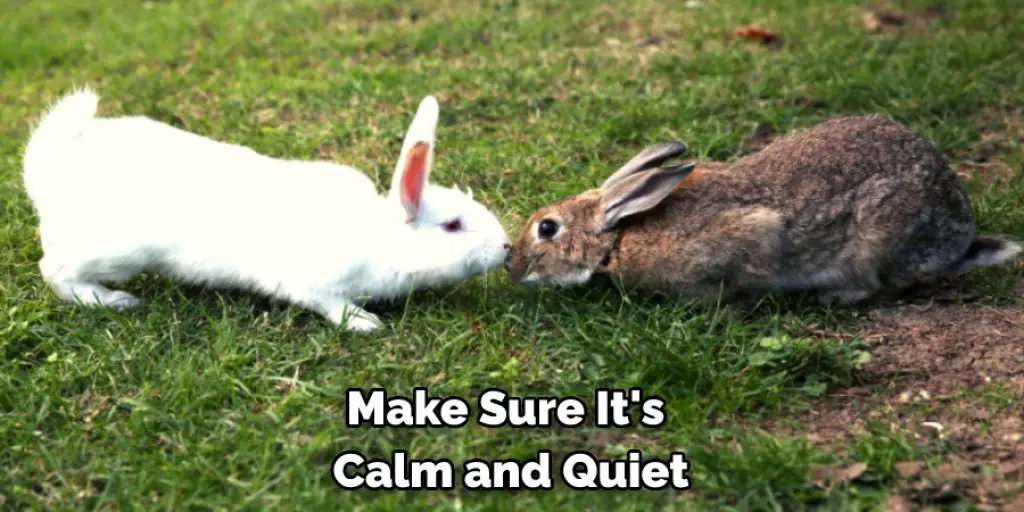 Make Sure It's  Calm and Quiet