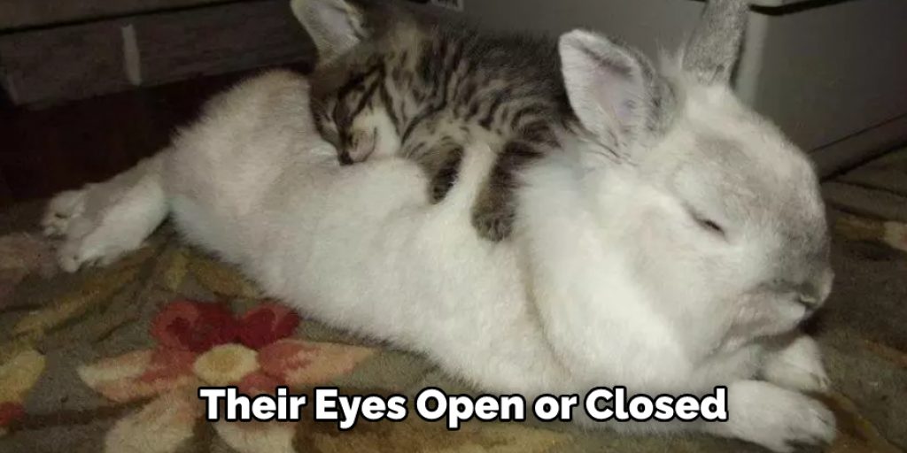 Their Eyes Open or Closed