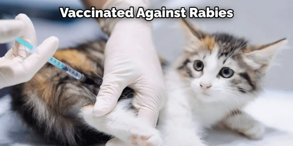 Vaccinated Against Rabies