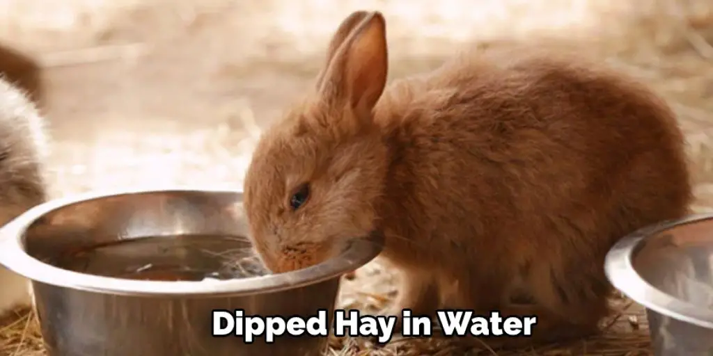 Dipped Hay in Water